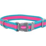 Coastal Pro Reflective Collar Fuscia And Teal