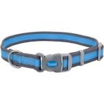 Coastal Pro Reflective Collar Bright Blue With Grey