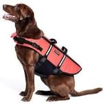 ZippyPaws Adventure Red Life Jacket
