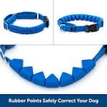 PetSafe Soft Point Training Collar Blue