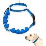 PetSafe Soft Point Training Collar Blue