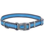 Coastal Pro Reflective Collar Bright Blue With Grey