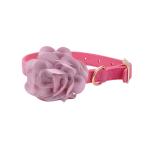 Coastal Accent Posh Pink With Flower