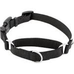 Coastal Collar with buckle Black