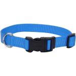 Coastal collar with buckle Blue Lagoon