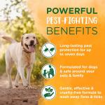 TropiClean Natural Flea Tick Soothing Shampoo for Dogs 20 oz