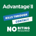 Elenco Advantage 2 Kitten 2-5 lbs 2 pack 
