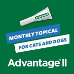 Elenco Advantage 2 Kitten 2-5 lbs 2 pack 