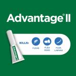 Elenco Advantage 2 Kitten 2-5 lbs 2 pack 