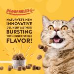 NaturVet Scoopables Digestive Enzymes for Cats 5.5 oz