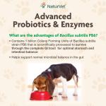 NaturVet Advanced Probiotics  Enzymes Soft Chews 70 chews