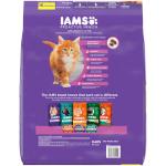 IAMS Proactive Health Kitten Chicken Dry Food