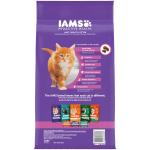 IAMS Proactive Health Kitten Chicken Dry Food