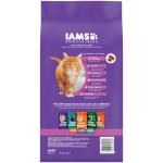 IAMS Proactive Health Kitten Chicken Dry Food