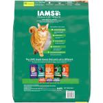 IAMS Proactive Health Senior Chicken Dry Food