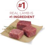 Purina ONE SmartBlend Lamb & Rice Adult Dry Dog Food 8 Lbs