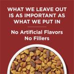 Purina Dog Chow Beef Flavor Dry Dog Food 44 lb
