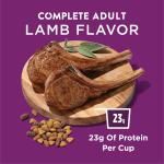 Dog Chow Complete Lamb Dry Food