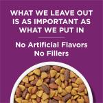 Dog Chow Complete Lamb Dry Food