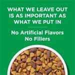 Purina Dog Chow Chicken Flavor Dry Food