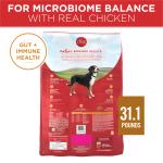 Purina One Real Chicken & Rice Adult Dry Dog Food 31.1 lb