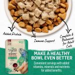 Purina Beyond Mixer+ Immune Support Alaskan Cod Cat Food 1.55 oz