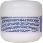 Dechra MiconaHex + Triz Wipes For Dogs, Cats & Horses (50ct)