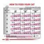 Royal Canin Renal Support Veterinary Exculsive 6.6 lbs