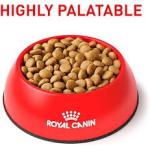 PD Royal Canin Veterinary Diet Feline Gastrointestinal Dry Cat Food