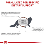 PD Royal Canin Veterinary Diet Feline Gastrointestinal Dry Cat Food