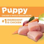IAMS Smart Puppy Chicken Dry Food