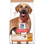 Hill's S.D. ADULT 6+ NO CORN, WHEAT, SOY Adult 6+ Large Breed Chicken & Brown Rice