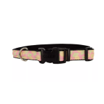 Costal Pineapple Collar