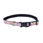 Coastal Dinosaurs Collar