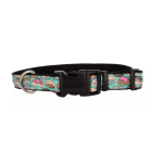 Coastal Frosted Doughnuts Collar