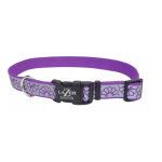 Coastal Lazer Brigth Purple Daisy Collar