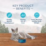 BLUE Wilderness Indoor Grain Free Chicken Adult Cat Food