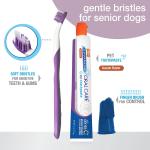 Nylabone Advance Oral Care Dental Kit Senior