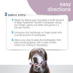 Nylabone Advance Oral Care Dental Kit Senior