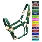 ECONO HALTER 1-20Q PONY GREEN