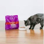 Stella & Chewy's Freeze-Dried Raw Dinner Morsels Grain-Free Protein Rich Bountiful Beef Recipe Cat