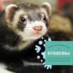 Oxbow Animal Healthy Essentials Natural Pellets Ferret Food, 4-lb bag