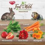 Kaytee Food From the Wild Natural Snack Rabbit Treats, 1-oz bag
