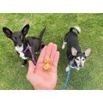 Redbarn All-Natural Air Dried Chicken Training Treats for Puppies & Dogs  8oz