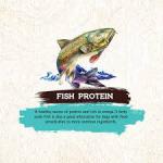 Inception Fish Recipe Wet Cat Food, 5.5-oz can
