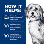 Hill's Prescription Diet ONC Care Dry Dog Food 6 lbs