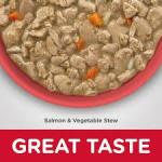 Hill's Science Diet Puppy Sensitive Stomach & Skin Salmon & Vegetable Stew 12.5 oz