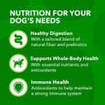 Iams Proactive Health Minichunks with Real Chicken & Whole Grains Dry Dog Food 7 lbs