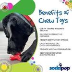 SodaPup Candy Cane – Durable Dog Chew Toy Made in USA from Non-Toxic