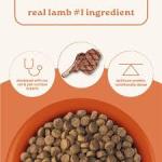 CANIDAE All Life Stages Real Lamb & Ancient Grains Recipe Dry Dog Food 5 lbs